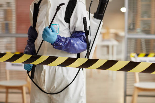 Professional Biohazard technician working in Morton, TX